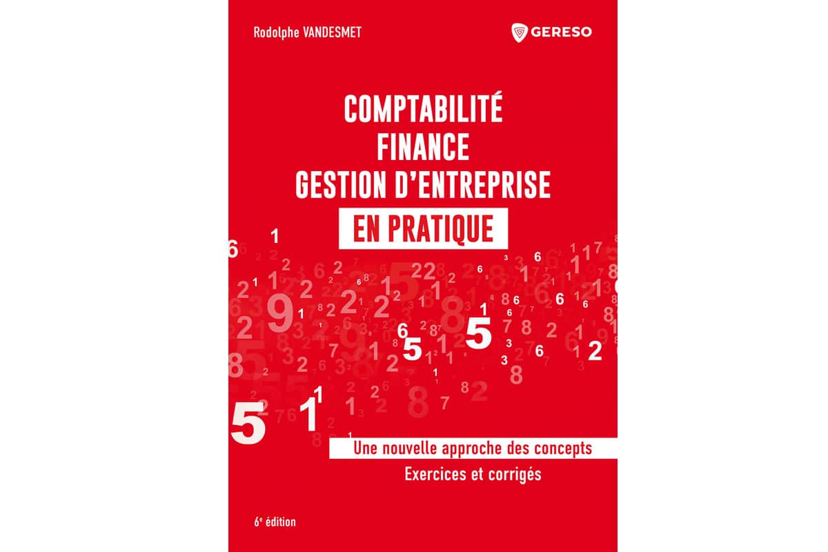 Comptabilité, Finance, Gestion D'entreprise En Pratique - Leader Réunion